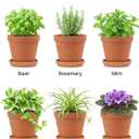 Riseuvo 6 Inch Terracotta Pots with Saucers 4 Pack Medium Clay Flower Pots with Drainage HoleClay Pot for Succulents, Cactus and Indoor Plants, Wedding Favors