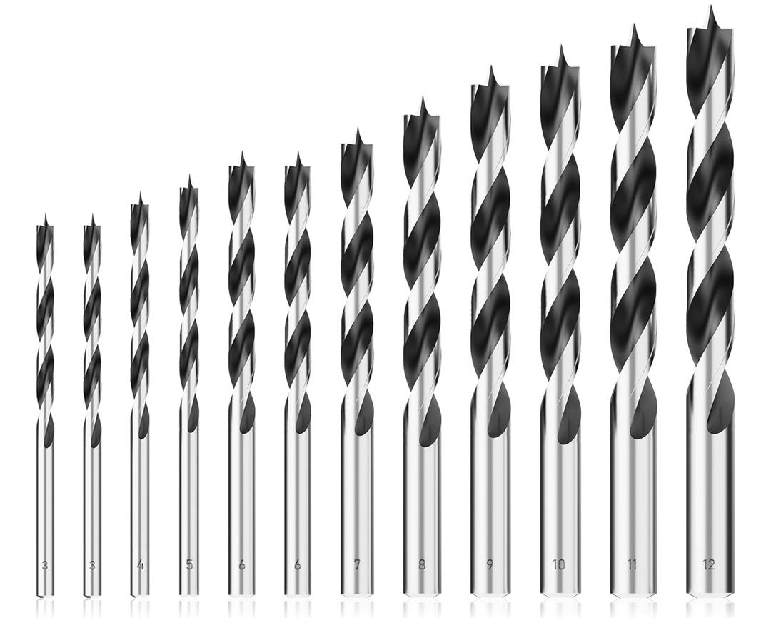 Metric Brad Point Wood Drill Bit Set, 12Pcs Drill Bit Set with Double Flutes Design for Carpenter Woodworking and All Types of Wood (3mm - 12mm)