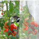 wohohoho 2Pcs 8 x 8ft Large Fruits Tree Netting, Insect Bird Barrier Tree Net with Drawstring and Zipper, Plant Cover Fruit Tree Protection to Prevent Tomato Blueberry Vegetable from Squirrels Birds