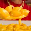 Velveeta Shells & Cheese Microwaveable Shell Pasta with 2% Milk Cheese, 4 ct Pack, 2.19 oz Cups (EXP 03/23/26)