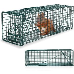 Qualirey 2 Pcs Humane Squirrel Trap Heavy Duty Live Animal Chipmunk Catch and Release Rat Trap for Outdoor Small Animals Mouse Raccoon Stray Cat Rodent Weasels(Green)