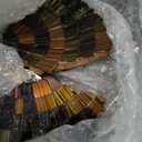 Red Co. Glass Mosaic Ceramic Decorative Accent and Centerpiece Bowl - Round 11 inches (C26 Ebony Umber)