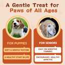 ZEBORA Probiotics for Dogs, Dog Probiotics, for Digestive Health, Plus Pumpkin and Fish Oil, for Gut & Itchy, 180 Soft Chews