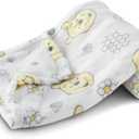 Disney Characters Flannel Fleece Baby Blanket - Soft & Cozy 30x40 Inches, Featuring Mickey Mouse, Minnie Mouse, Winnie The Pooh, and Dumbo
