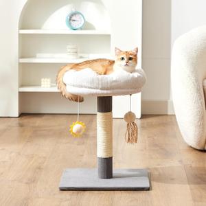 Gardner Pet 20" Cat Tree, Solid Wood Small Cat Tree, Cat Scratching-Posts & Hanging Toys, Removable Cat Bed, Compact Cat Tower Perch for Kittens(Grey, Circle-Corduroy)