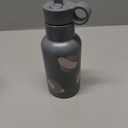 Blooom Insulated Stainless Steel Kids Water Bottle With Straw Lid | Durable, Leakproof, Cupholder Friendly | Kids Tumbler for School, Travel and Outdoors | Modern Design (Birds, 12 oz)