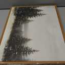 InSimSea Framed Canvas Wall Art Winter Christmas Decor Living Room Pine Tree Forest Decor Nature Landscape Decoration for Bedroom Bathroom Rustic Xmas Holiday Gifts 12x16 Inch