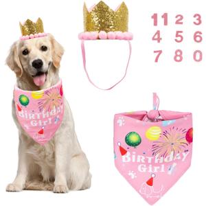 ADOGGYGO Dog Bandana Hat Set for Birthday Party Supply, Boy Girl Pet Birthday Scarf for Medium Large Dog (Large, Pink)