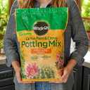 Miracle-Gro Cactus, Palm and Citrus Potting Mix, for Indoor or Outdoor Potted Plants, Great for Succulents, 8 qt., 2-Pack