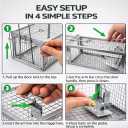 Humane Rat Trap Cage Live Catch & Release Mouse Trap for Indoor Home, Small Animal Cage for Chipmunk, Squirrel & Rodent, Easy Set High-Sensitive Trigger, 10.5
