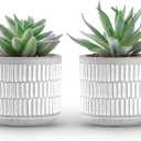 Der Rose Set of 2 Succulents Plants Artificial Fake Cactus Plants for Living Room Bathroom Bedroom Aesthetic Home Shelf Decor, White