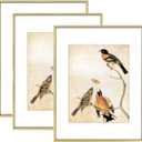 BKABOT 11x14 Picture Frame Set of 3, Brass Metal Photo Frames with HD Glass, Fits 8x10 with Mat or 11 x 14 without Mat, Display for Wall, Brass