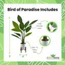 GreenBoxx Bird of Paradise Artificial Plant Fake Tree Fake Banana Leaf Plant Tropical Palm Trees Potted Plants | Home Indoor Modern Decor Natural Decoration | Large Realistic Leaves