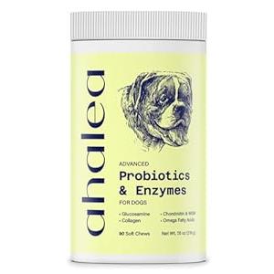 Probiotics for Dogs- Dog Probiotics for Digestive Health, Support Gut Health, Diarrhea, Digestive Health & Seasonal Allergies, 90 Count 2 Billion CFUs