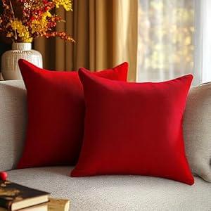 QUORGVES Pillow Covers 16x16 Inch Pack of 2 Velvet Throw Pillow Covers Sofa Decorative for Living Room Bed Couch Bedroom Soft Decor Accent Pillow Covers Cases 16 x 16 Set of 2