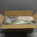 WOOCHPET Small Cat Tree with Perch Cat Bed and Removable Cover 23 inch Tall Cat Tower with 2 Scratching Sisal Scratching Posts and Cat Toys for Kittens and Adult Cats (Green)