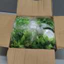Yoratee Artificial Plant 6PCS Small Fake Plant Greenery Potted Plant Cute Indoor Faux Plant Houes Office Table Desk Bathroom Decor Plants