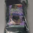 Hanes womens Cotton Brief Underwear, 10 Pack - Brief Black, 8 US