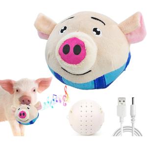 Interactive Toy for Mini Pig - Pigs Toy, Bouncing Toy Ball with Music and Recording for Mini Pigs, Pet Pig Supplies, Moving Ball Chew Toys for Pig to Keep Them Busy for Boredom