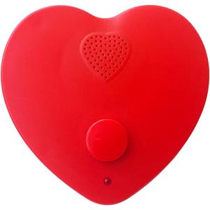 5min Voice Recorder for Stuffed Animal,Personal Voice Message Recordable Sound Recorder Chips Module for Christmas Plush Toy and Manual DIY Creative Sound Presents for Boyfriend(Red)