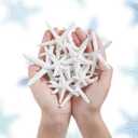 21 Pieces Starfish Ornament Sets Starfish Decor Fish Net Sea Wall Decor Fishnet Nautical Decoration for Crafts Beach Wedding Mermaid Party Under The Sea Party Decorations(White)