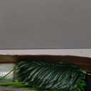 4ft 2pcs Large Artificial Plants Fake Palm Tree Tropical Palm Leaves Faux Palm Plants Tall Tree Indoor Real Touch Plastic Monstera Leaves for Home Garden Outdoor Office Decor (4ft/125cm-2pcs)