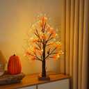 24 72 LED Fall Decorations for Home, Birch Tree Lighted Fall Maple Leaves Artificial Tree LEDs Autumn and 3 Squirrel,Acorn Ornaments USB/3AA Battery Timer for Gifts Thanksgiving Indoor (2ft)