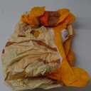 Spinosaurus Inflatable Seahorse Costume for Kids Inflatable Christmas Costume Blow Up Sea Animal Costumes Halloween Blow Up Costumes