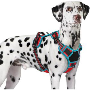 Eagloo Dog Harness for Large Dogs, Easy Wearing with 3 Buckles, Adjustable No Pull Pet Harness with 2 Rings for Walking, No Chock Reflective Soft Padded Vest with Control Handle, Red & Teal, XL (X-Large)