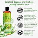 Seven Minerals Organic Aloe Vera Gel from freshly cut 100% Pure Aloe - Big 12oz - HighestQuality, Texas grown, Vegan, Unscented - For Face, Skin, Hair, Sunburn relief