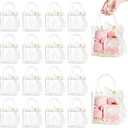 Ohuimrt 30 PCS Clear Plastic Gift Bags with Handles, 5.9 x 6.3 x 2.8 Inches Reusable Party Favor Bags with Ribbon Transparent Gift Wrap Bags Bulk for Weddings Birthdays