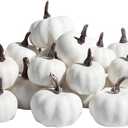 vensovo Mini White Plastic Pumpkins Assorted Sizes - 30pcs Assorted Small Artificial Foam Pumpkins Decor Great for Vase Filler Table Display Thanksgiving Centerpieces and Fall Halloween Decor