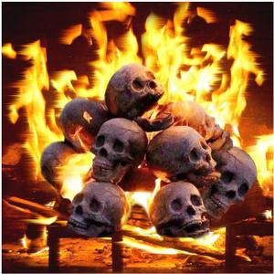 2022 New Terrifying Human Skull Fire Pit, Fireproof Imitated Human Skull Ceramic, Durable Reusable Fire Pit Skulls, Halloween Skulls Shaped Fire Stones for Fire Pits Bonfire Campfire Fireplaces (6PCS)