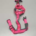 Plutus Pet No Pull Dog Harness, Adjustable Nylon Harness with Soft Padding, Reflective and Heavy Duty Dog Harness for Small, Medium, Large Dogs (Hot Pink, M)