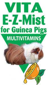 Oasis Vita EZ Mist Allin1 Multivitamins for Guinea Pigs  Daily Vitamin Supplement Supports Healthy Bones & Teeth, Joints & Digestion, Promotes Healthy Skin Coat, 2Ounces 2 Pack