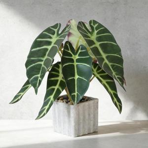 Muhanjia Artificial Potted Plant, Lifelike Faux Greenery in Decorative Cement-Look Square Pot for Indoor Home Decor Centerpieces (Alocasia)