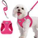 rabbitgoo Dog Harness Small Sized and Leash Set, Step in Soft Light Puppy Vest, Breathable Mesh Pet Harness, Reflective for Safe Easy Walking, Rose Red M (M (Chest: 16 - 18.5"))