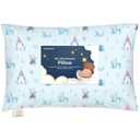Toddler Pillow with Pillowcase - 13x18 My Little Dreamy Kids Travel Bed Pillows for Sleeping, Organic Cotton Small Pillowcase,Soft & Breathable,Machine Washable,Toddlers 2-5 years old(Enchanted Frost)