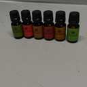 Christmas Set of 6 Premium Grade Fragrance Oils  - Christmas Wreath, Mistletoe, Candy Cane, Gingerbread, Cinnamon and Cranberry - 10ml
