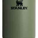 Stanley IceFlow Flip Straw Tumbler with Handle | Twist On Lid and Flip Up Straw | Leak Resistant Water Bottle | Insulated Stainless Steel | BPA-Free (30 Ounces, Dried Pine)