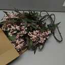 Zeyune 3 Pcs Artificial Pink Berry Stem Spring Faux Flowers Picks Branches Fake Realistic Sedum Stem Spray for Wedding Holiday Seasonal Farmhouse Mantel Harvest DIY Home Decorations(35 Inch)