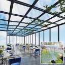 Clear Polycarbonate Roofing Sheet 3.3x16.4ft, Pergola Patio Greenhouse Roof Panels Rain Protection Shed Canopy Awning for Outdoor Gardening Chicken Coop Cover Window Well Covers (1x5m)