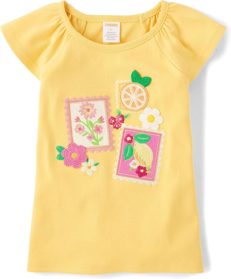 Gymboree Girls and Toddler Embroidered T-Shirt, Size 10