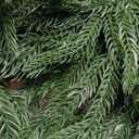 Hananona 2 Pcs 6 Ft Artificial Norfolk Pine Garlands, Real Touch Winter Pine Garland, Green Artificial Greenery Garland for Table, Mantle, Wall, Indoor, Outdoor Christmas Decorations (2, 6 FT)