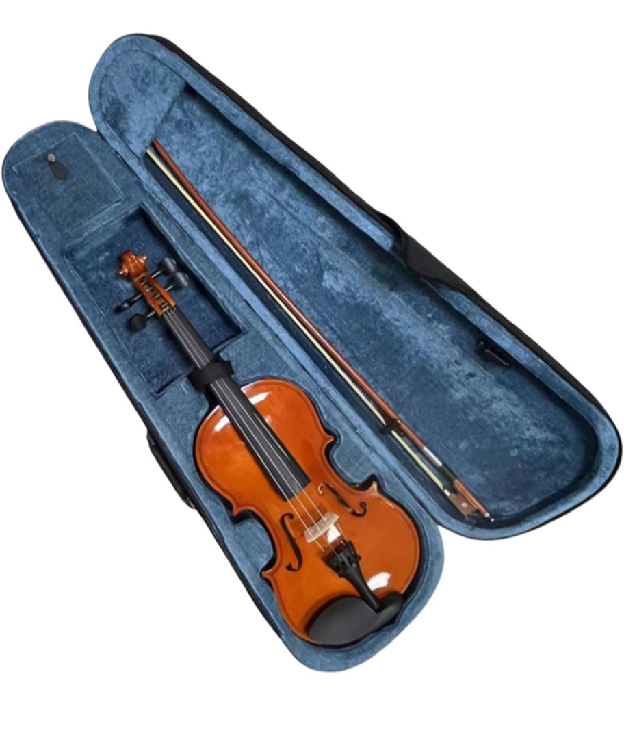 Professional Violin Set Adult Practice Violin 4/4 Size Full Pressed Solid Wood(Red,4/4)