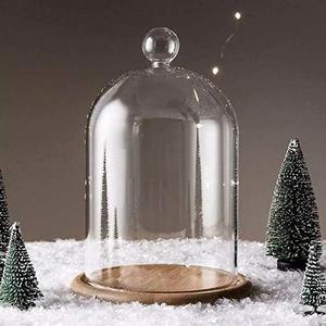 Home Decor Vases Glass Flower Display Cloche Bell Jar Dome Immortal Preservation + Wooden Base Everlasting Flower Glass Cover