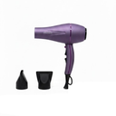 Professional Ionic Hair Dryer