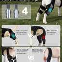 Dog Knee Brace for Torn ACL/CCL Hind Leg,Adjustable Hip Brace-Hip Dysplasia Brace-Wound Care-Reduces Pain and Inflammation-Lick Prevention (M) (Green)