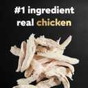 Cesar Small Breed Dry Dog Food for Small Dogs, Rotisserie Chicken Flavor and Spring Vegetables Garnish, 12 lb Bag (EXP 02/27/27)