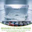Chilled Portable Snackle Box container, Divided Serving Tray, Beach Essentials Insulated Container with Reusable Ice Pack & Bag Keep Food Hot or Cold On the Go for Adult